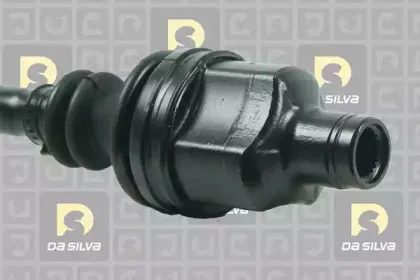 dasilva-4602at