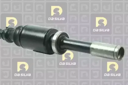 dasilva-4620at