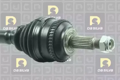 dasilva-4620at