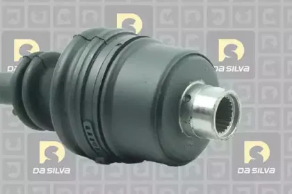dasilva-462tbis