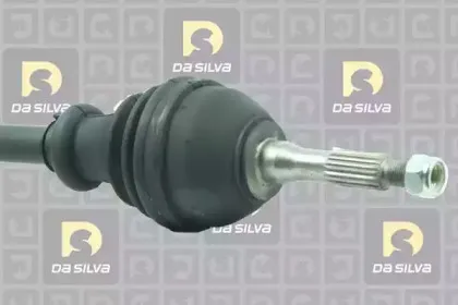 dasilva-462tbis