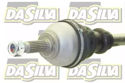dasilva-jc491