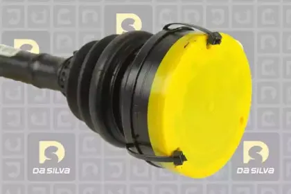 dasilva-5206at