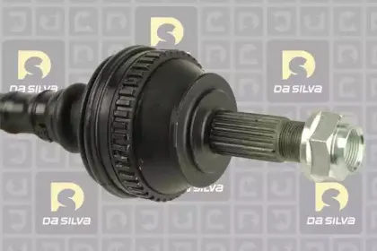 dasilva-5244at