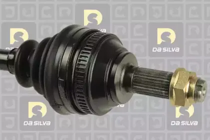 dasilva-6011at