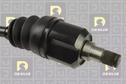 dasilva-6011at