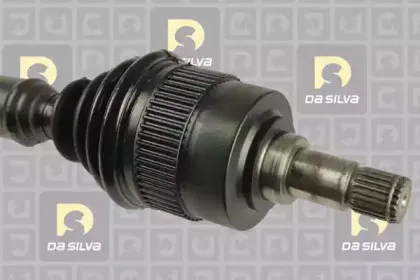 dasilva-6114at