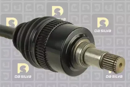 dasilva-6115at
