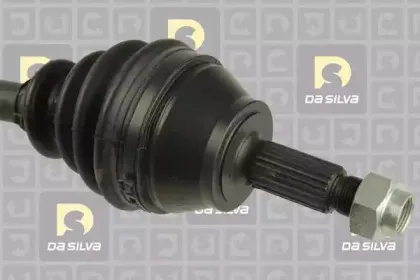 dasilva-6132at