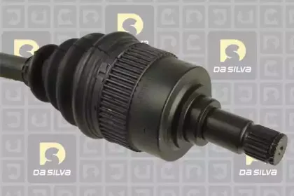 dasilva-6132at