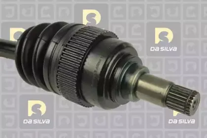 dasilva-6135at