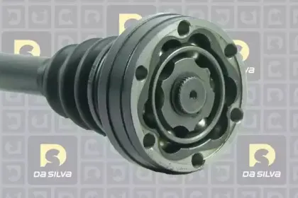 dasilva-6139at