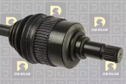 dasilva-6141at