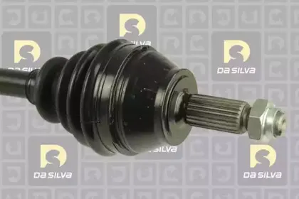 dasilva-6162t