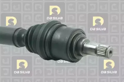 dasilva-6164t
