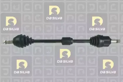 dasilva-6166t