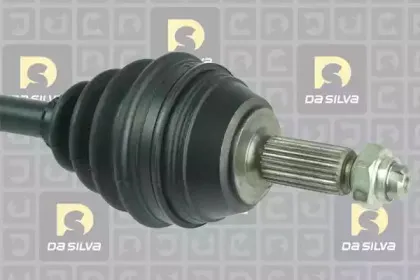 dasilva-6166t
