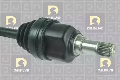 dasilva-6166t