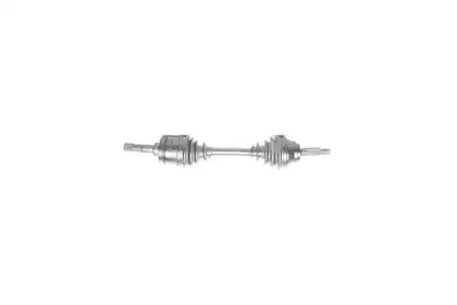 dasilva-6191t