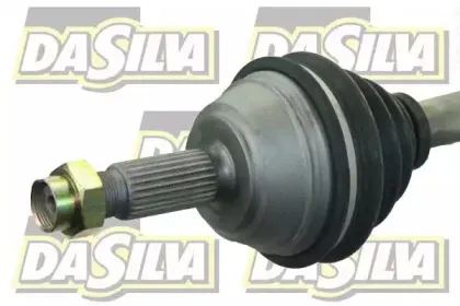 dasilva-jc6194