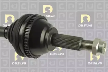dasilva-6410at