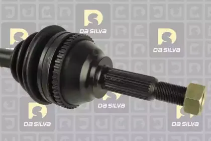 dasilva-6411at