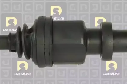 dasilva-6411at