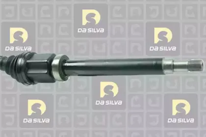 dasilva-jc6413