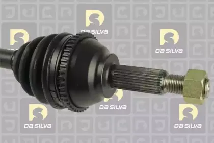 dasilva-6417at
