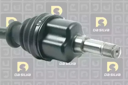 dasilva-6419at