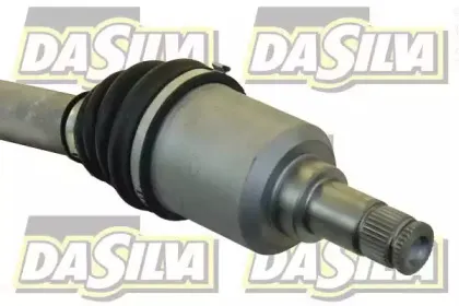 dasilva-8002at