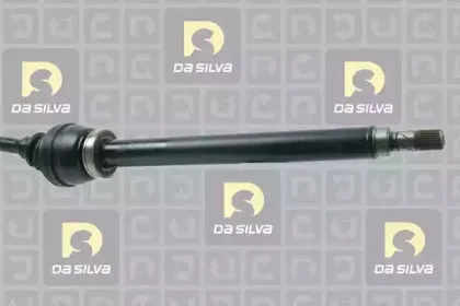 dasilva-8210at