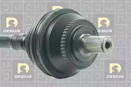 dasilva-8210at
