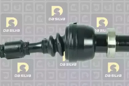 dasilva-8212at