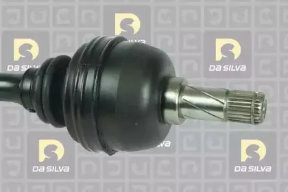dasilva-8213at