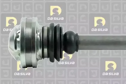 dasilva-jc9138