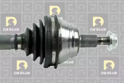 dasilva-jc9138
