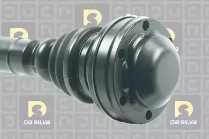 dasilva-9176t