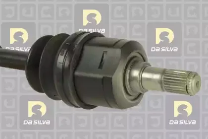 dasilva-92071at