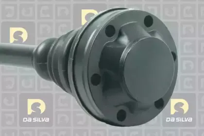 dasilva-9248at