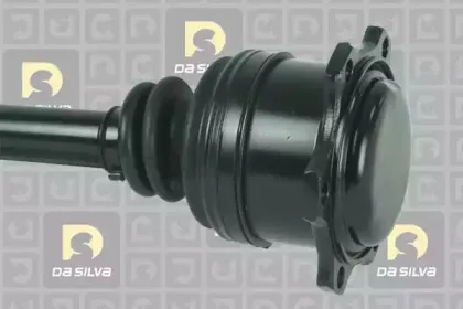 dasilva-9278at
