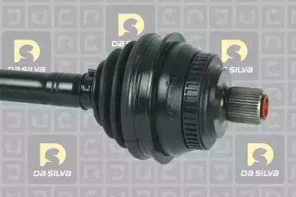 dasilva-9278at