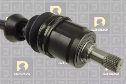 dasilva-93001at