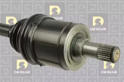 dasilva-93089at