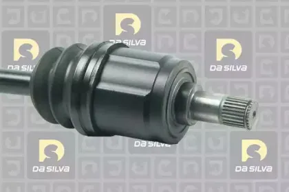 dasilva-93109at