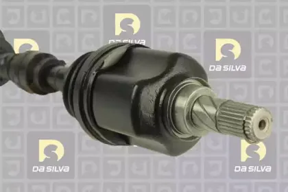 dasilva-96142at