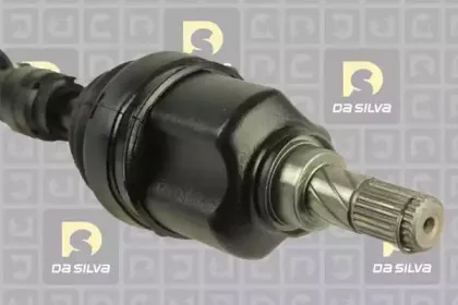 dasilva-96142at