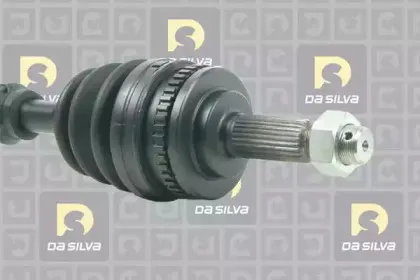 dasilva-96146at