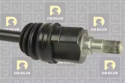 dasilva-98252at