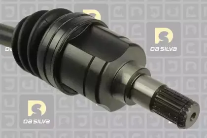 dasilva-98253at